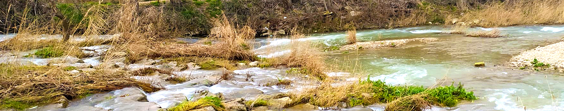 Zidakos_02_olite zidakos_olit2